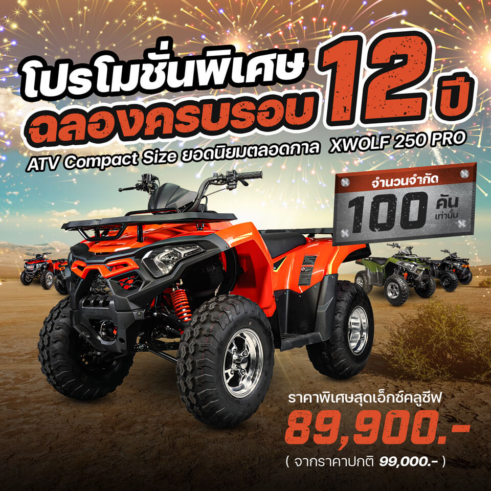 ATV ขนาดเล็กขับในสวน เหมาะสำหรับมือใหม่