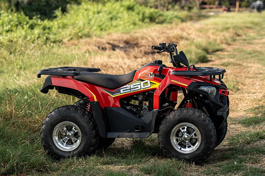 ภาพมุมด้านข้างซ้ายของ ATV XWOLF 250 PRO