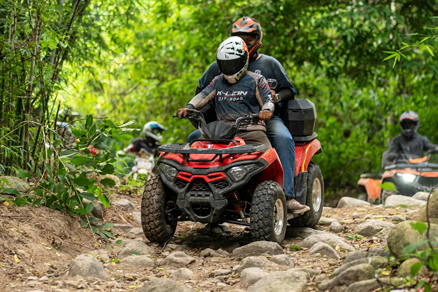 ภาพมุมด้านหลัง ATV XWOLF 250 PRO รุ่นปี 2026